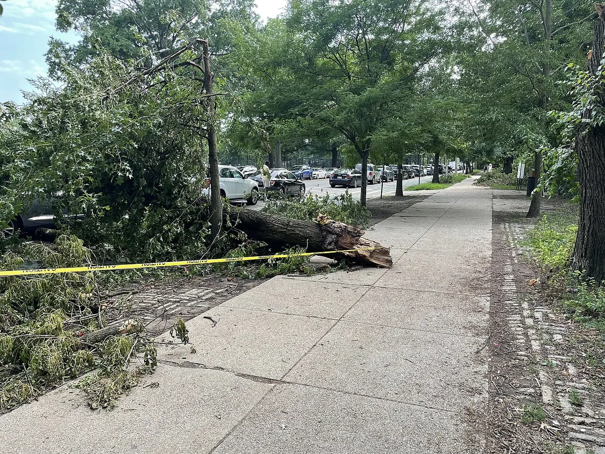 Storm debris cleared from a North Shore sidewalk, the kind of outage event that adds run hours to a standby generator over its lifespan